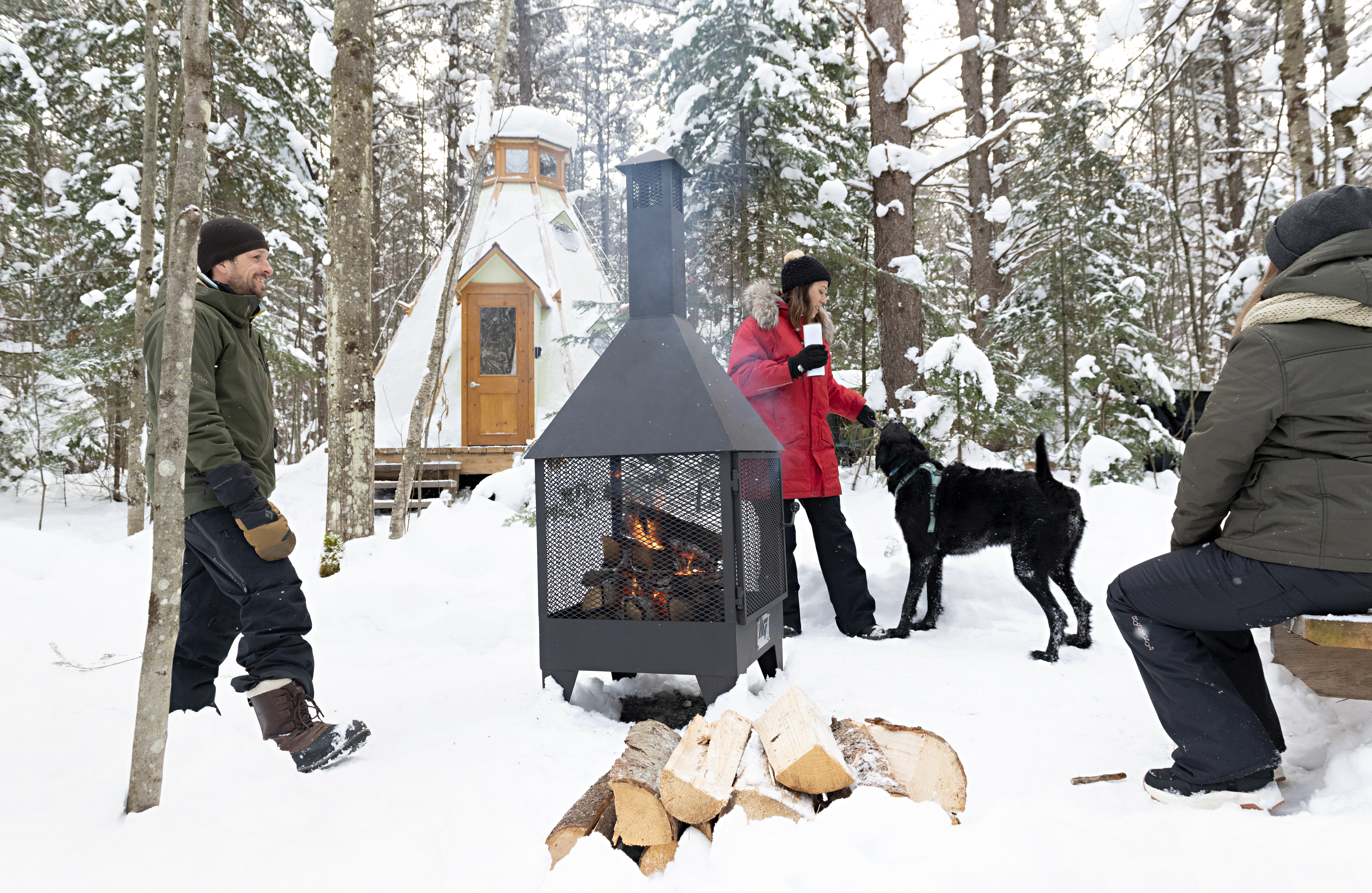 BLOGUE - NOV - PGC BLOGUE - NOV - PGC