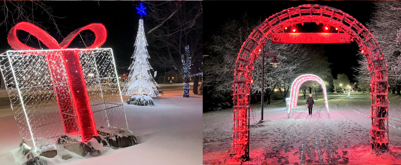 Blogue marché des Fêtes - Princeville