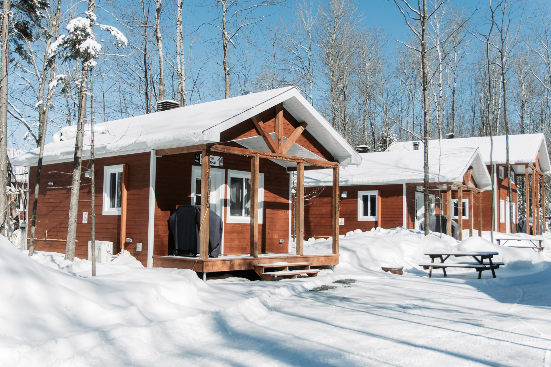 Blogue Campagne Hiver 2026 - PRRG