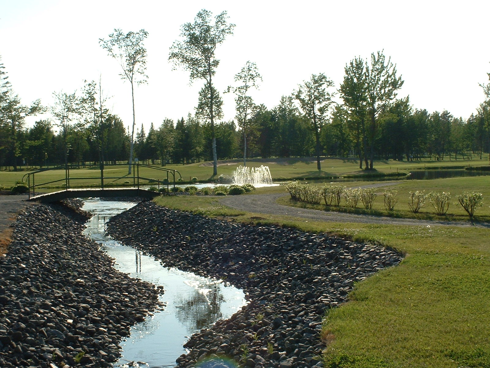 Blogue - Golf