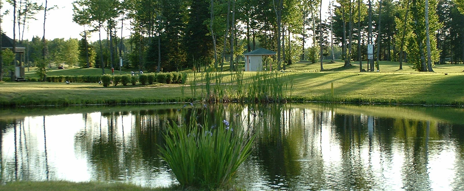 Club de golf des Bois-Francs - Lac Jouez au golf dans un environnement magique.
