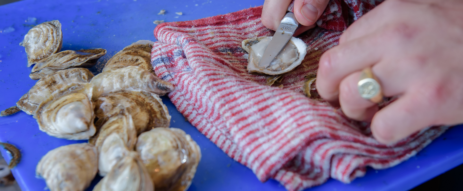 Blogue Trad Cajun - huitre