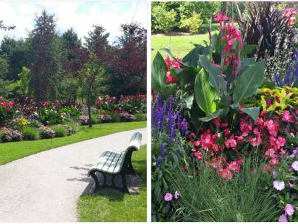 De l'été plein les yeux au Parc Marie-Victorin - Aménagements