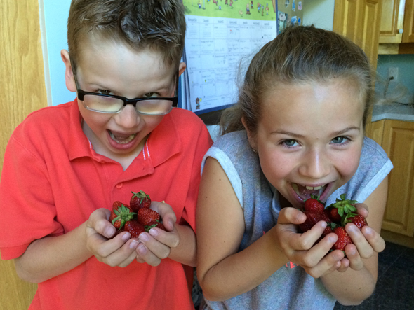 Les enfants attendent les fraises avec impatience!
