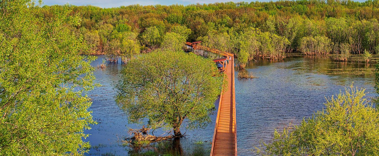 La passerelle de Nicolet offre de belles possibilités pour l'observation d'oiseaux. 