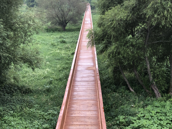 Blogue - Découvrir une région en solo - Passerelle