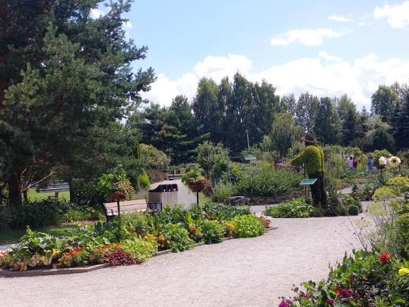 De l'été plein les yeux au Parc Marie-Victorin - Potager