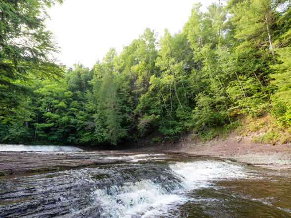 Une baignade dans la rivière par une chaude journée d'été.