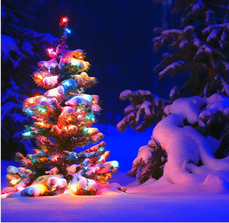 Sapin Noël dans la neige