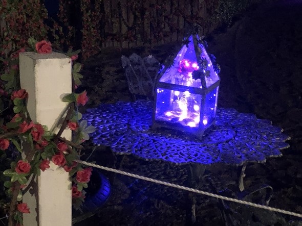 Blogue - Apzara - La rose magique
