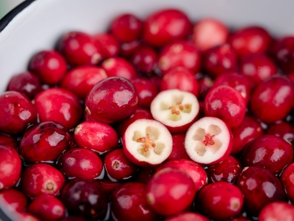Blogue - Recettes Pâques - Canneberges