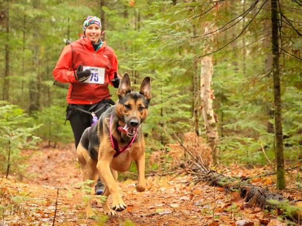 Blogue - Canicross - course Christine Crédit Christine Vaillancourt Morel