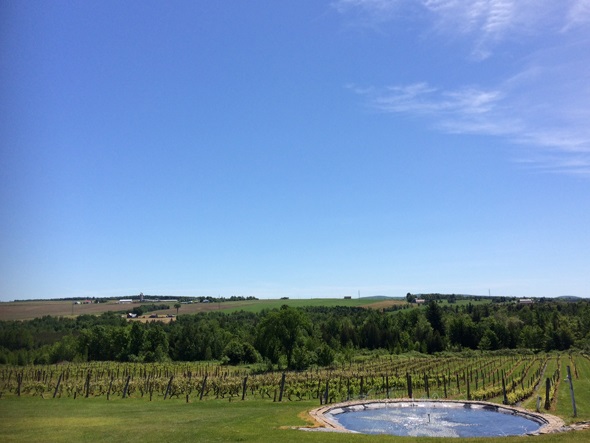 Blogue - Vignobles Les Côtes du Gavet