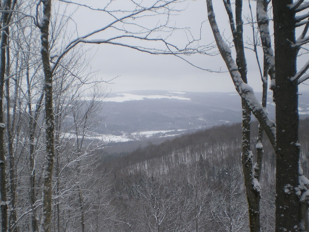 Sentier des Trotteurs - Paysage d'hiver - Listing